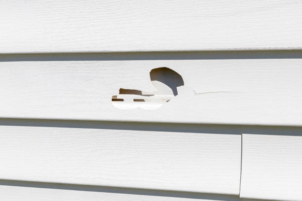 Affordable Siding Repair and Maintenance Services in Lancaster, TX